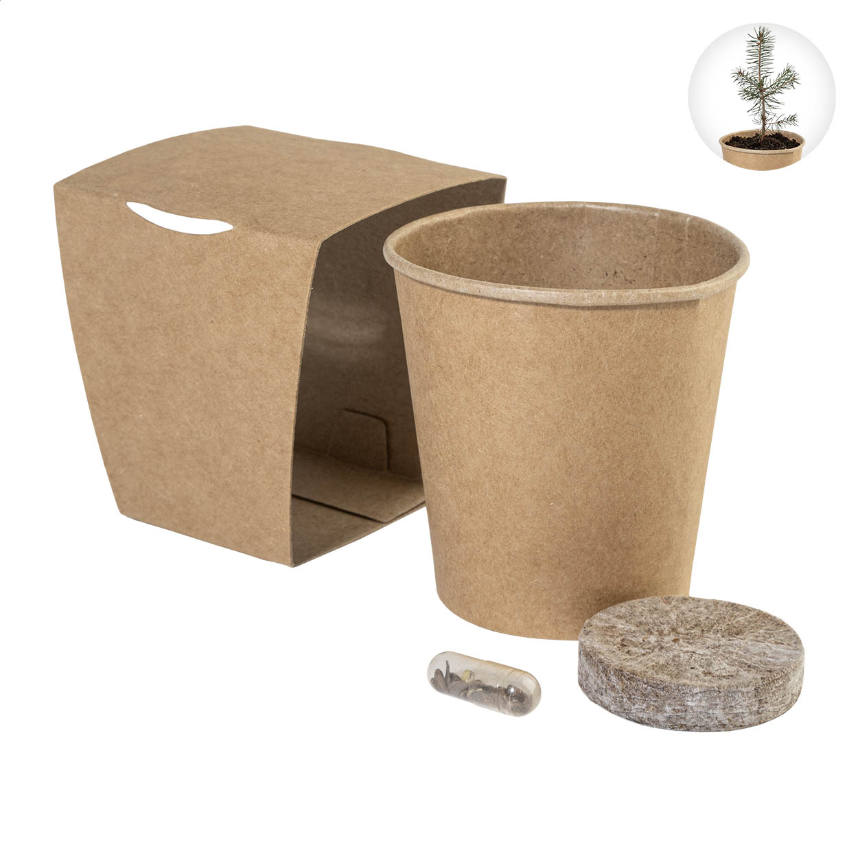 Kit de culture sapin de Noël MerryGrow personnalisé, étui kraft imprimé avec logo