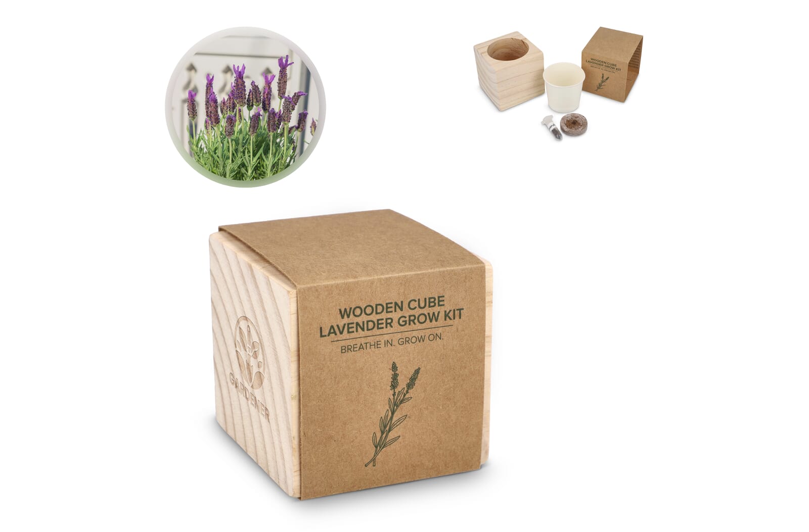 Sérénité en Bois: Kit de Plantation de Lavande - Chalonnes-sous-le-Lude