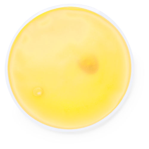 Coussin Thermique Réutilisable - Brécy-Brières