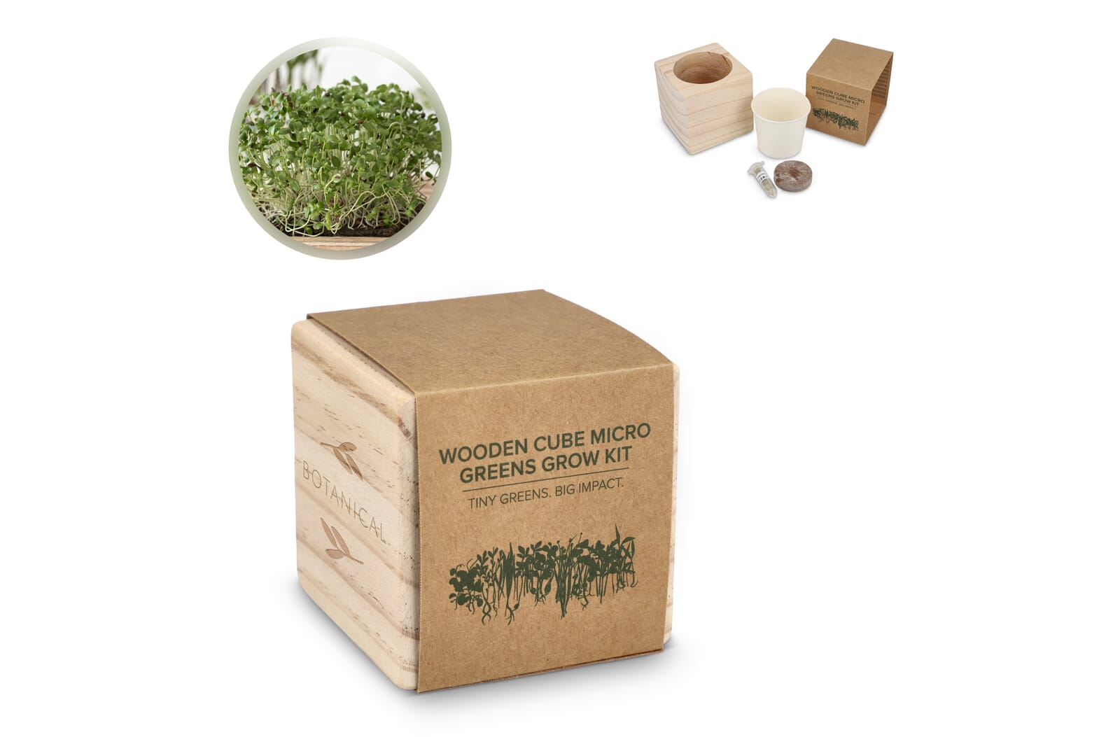 Pot de plantes en bois FSC - Germes