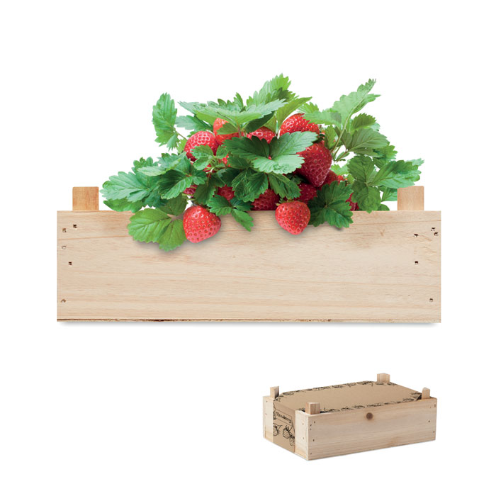 Caissette personnalisée avec des graines de fraises - Ichigo - Zaprinta France