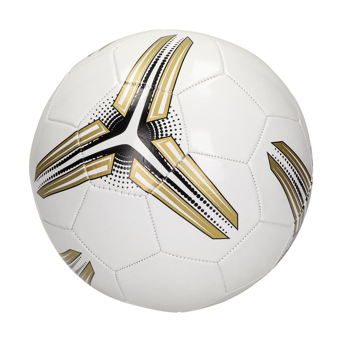 Champion Ballon de Football en PVC Cousu à la Machine - Coise-Saint-Jean-Pied-Gauthier - Zaprinta France