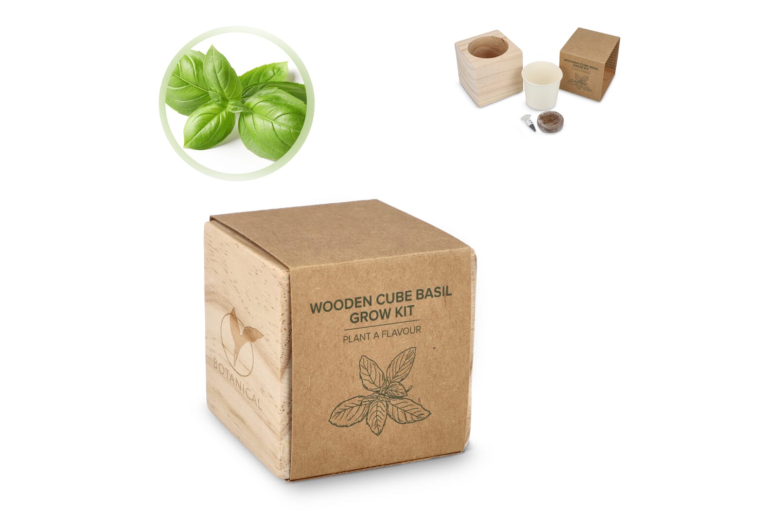 Ensemble de Jardinières en Bois FSC - Basilic