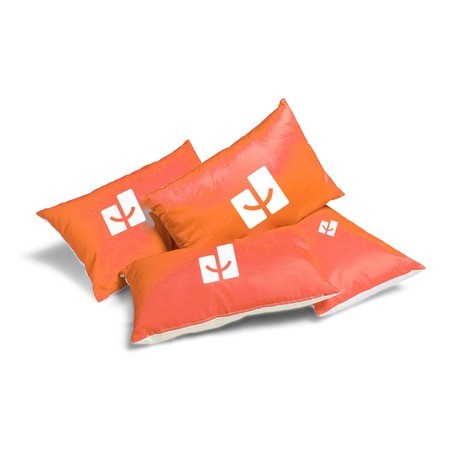 p_cushions.jpg - Zaprinta France