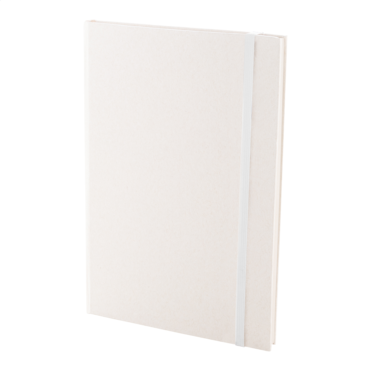Carnet A5 Relact Note personnalisé en papier de briques de lait recyclées