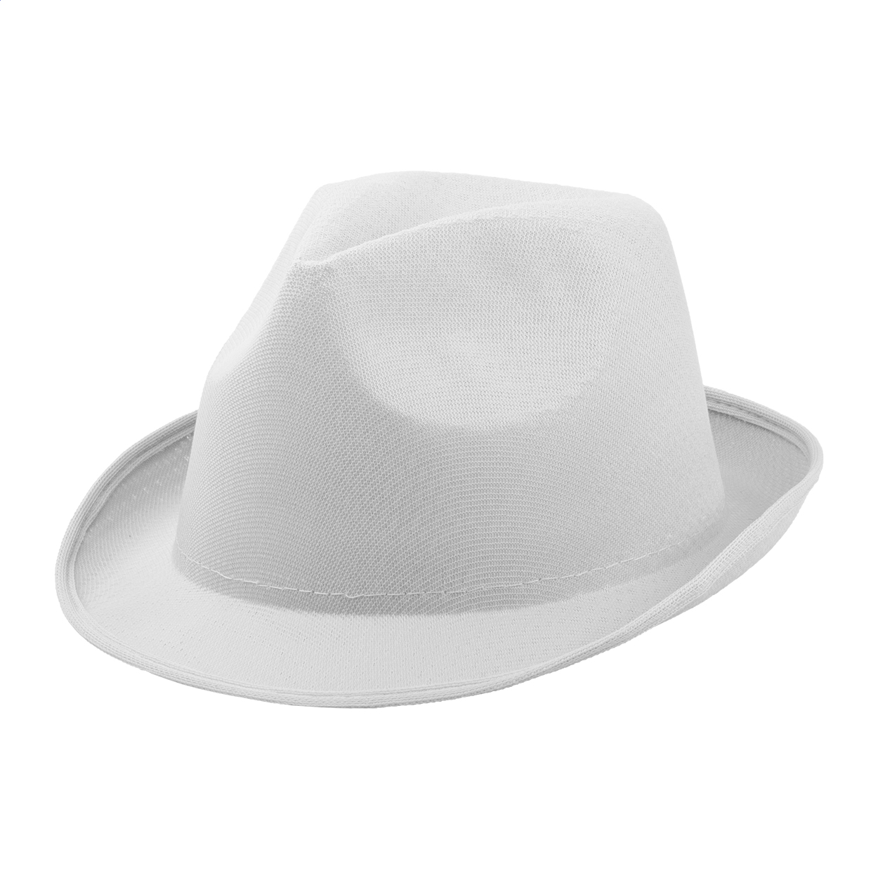 Chapeau de fête - Fleix
