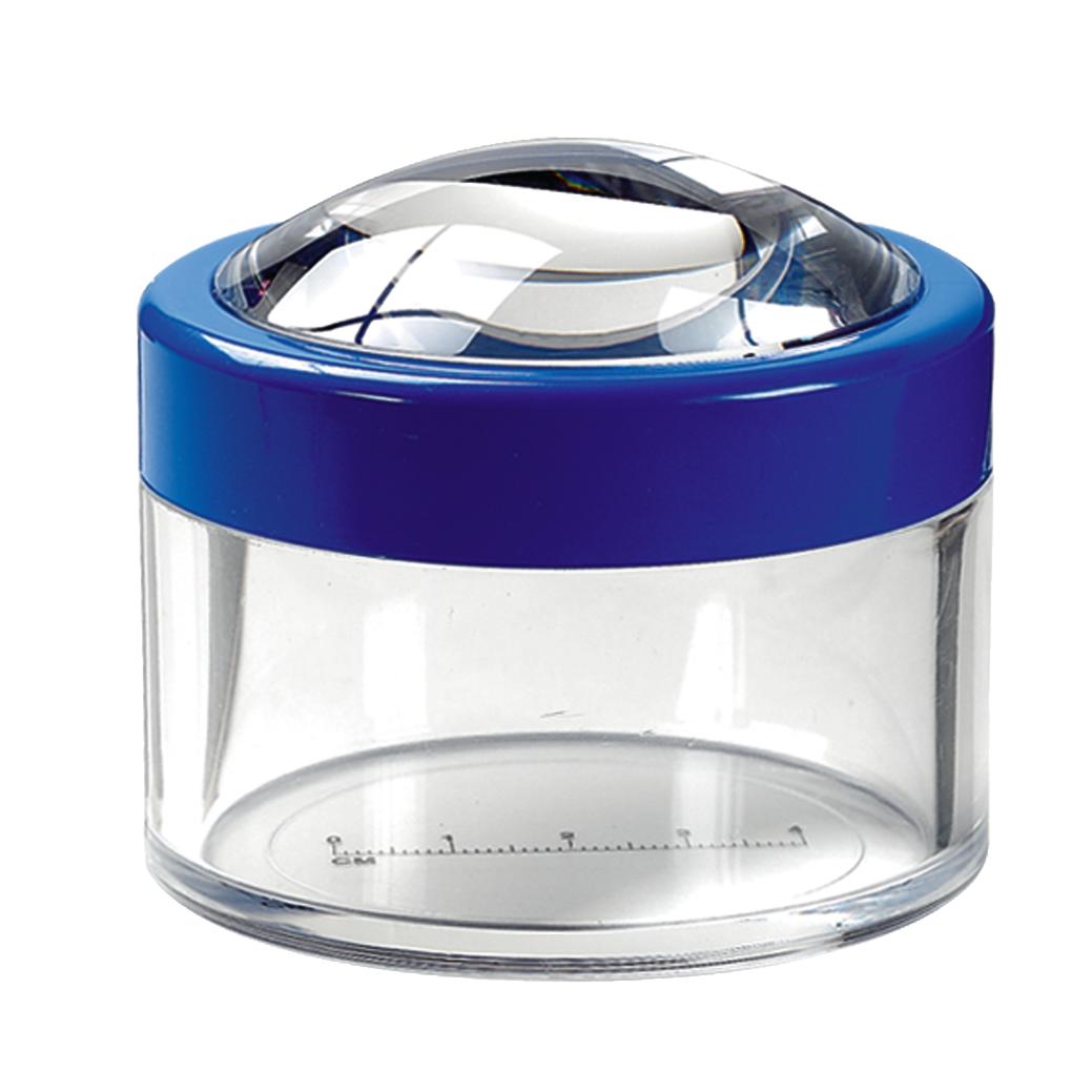 Lentille Érigée - Noves