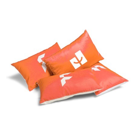 p_cushions.jpg - Zaprinta France