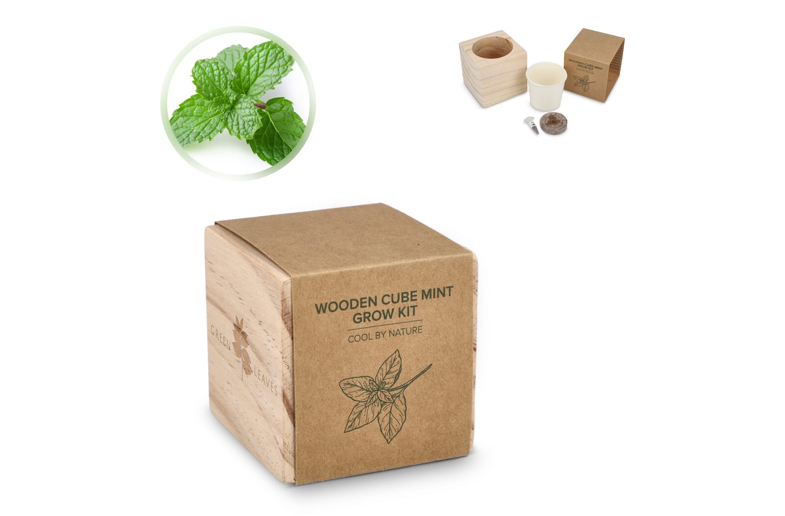 Set de bacs à plantes en bois FSC – Menthe