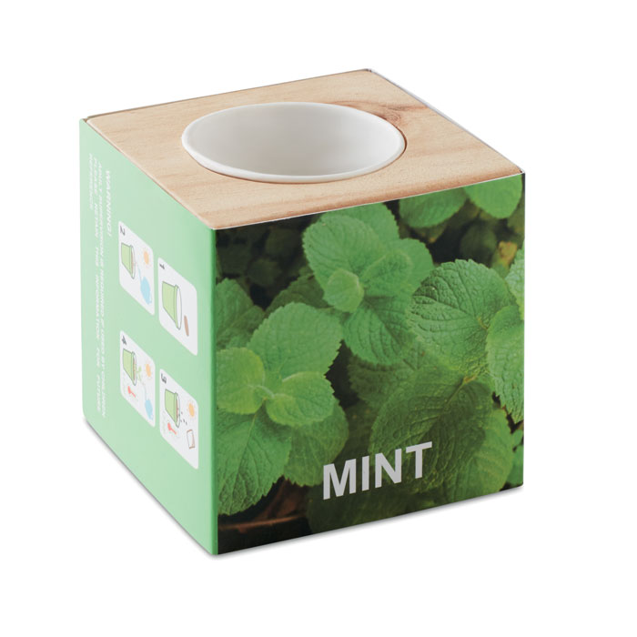 Pot à Herbes en Bois - Sainte-Catherine