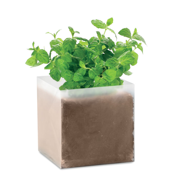 Substrat de jardin à la menthe - Luzech