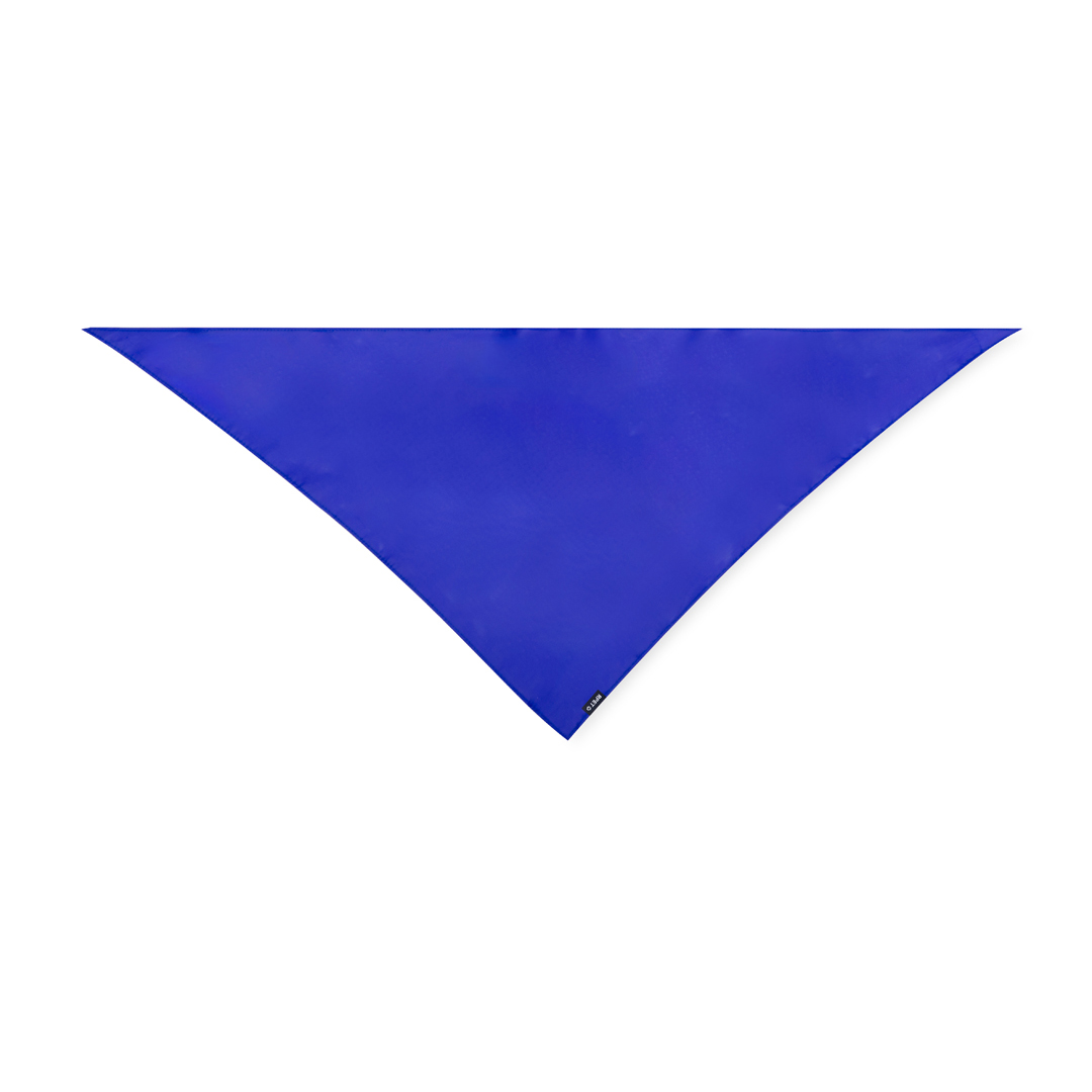 Écharpe Triangulaire Écologique - Passavant-la-Rochère