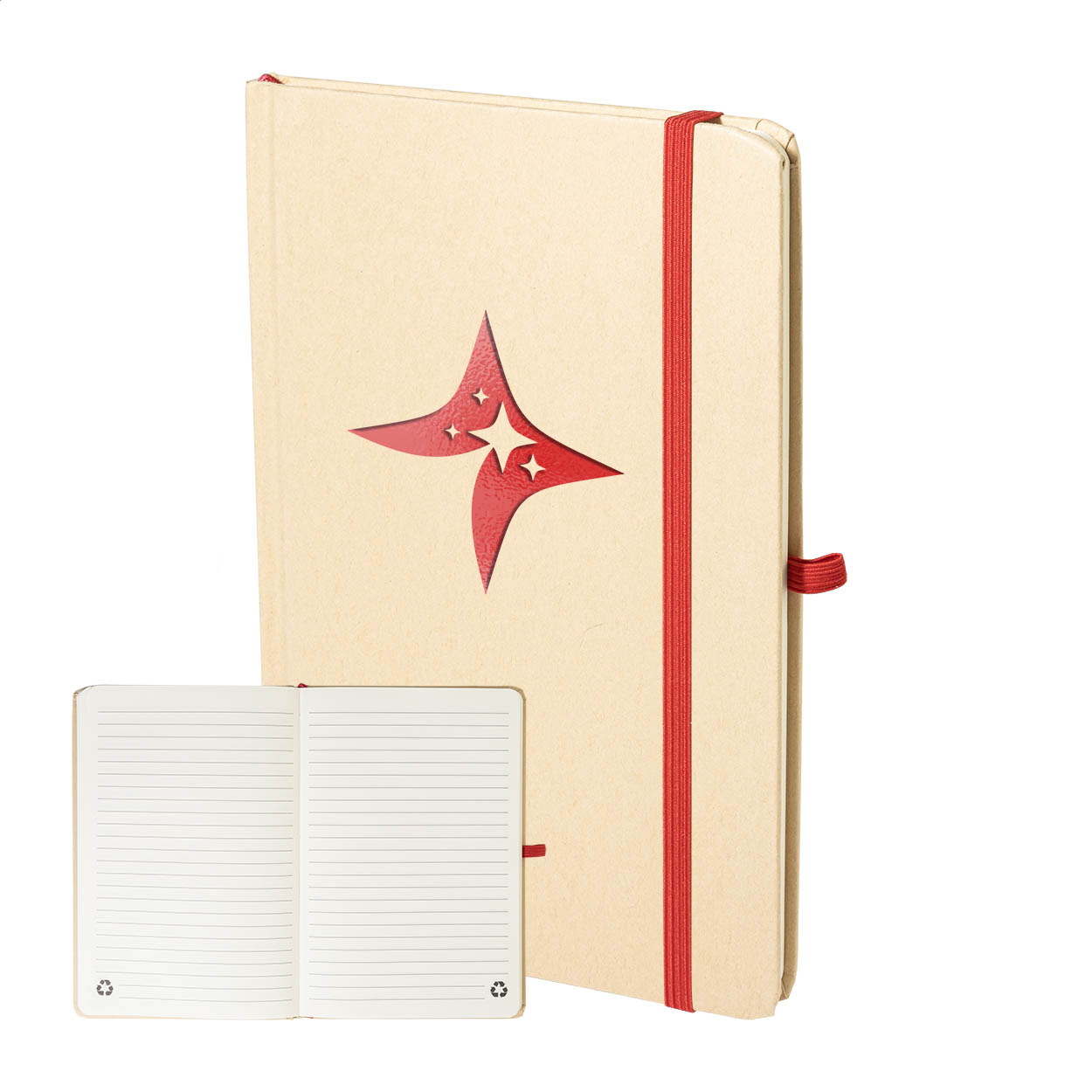 Carnet Métallique Révélateur A5 - Pierry