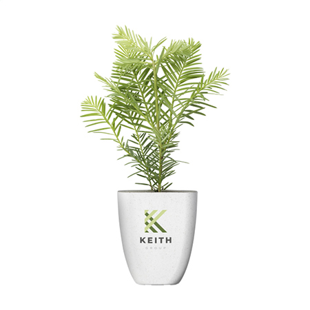 Plante personnalisée - | Zaprinta France