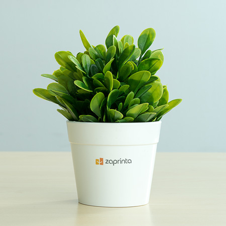 Plante personnalisée - | Zaprinta France Plante personnalisée - | Zaprinta France
